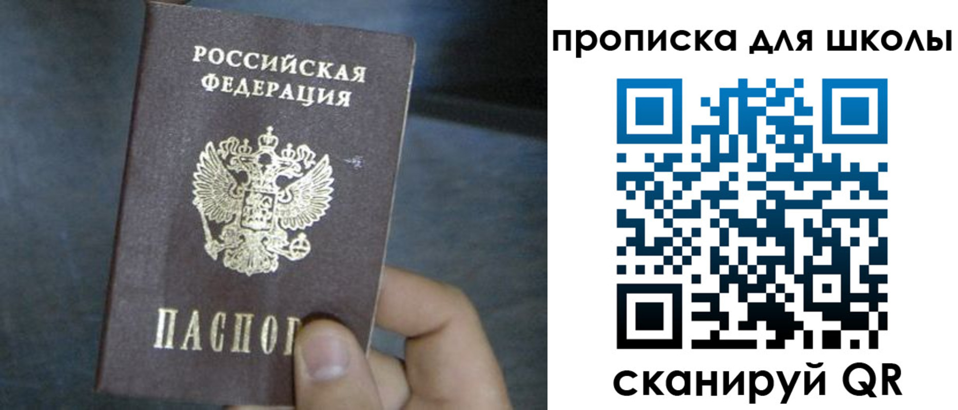 прописка поиск в Россоши